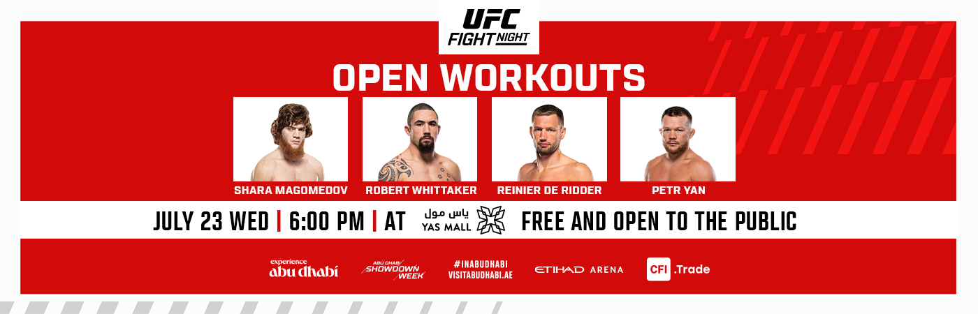 UFC Fan Experience